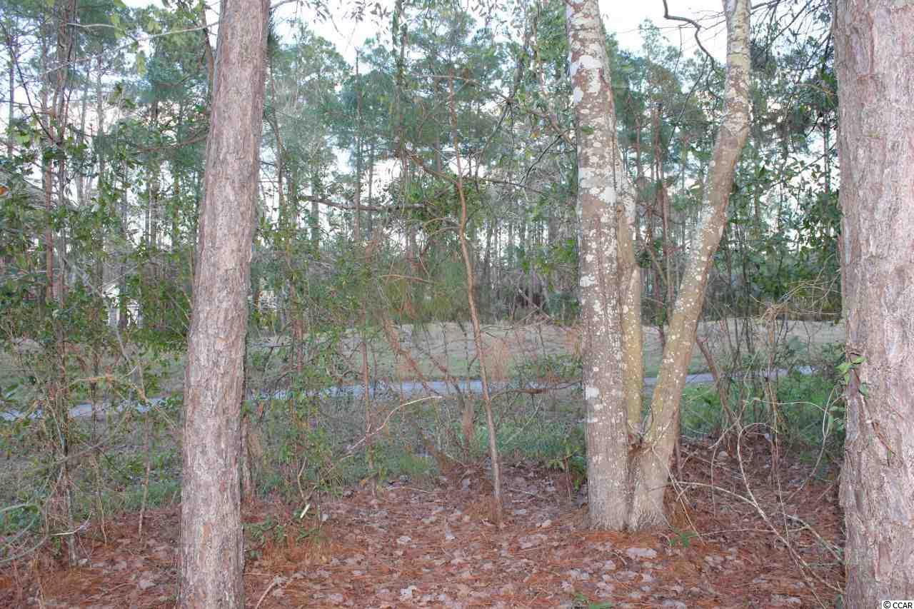 Lot 345 Timmerman Road Myrtle Beach, SC 29588 - Photo 14 of 25 Gallery Image 14