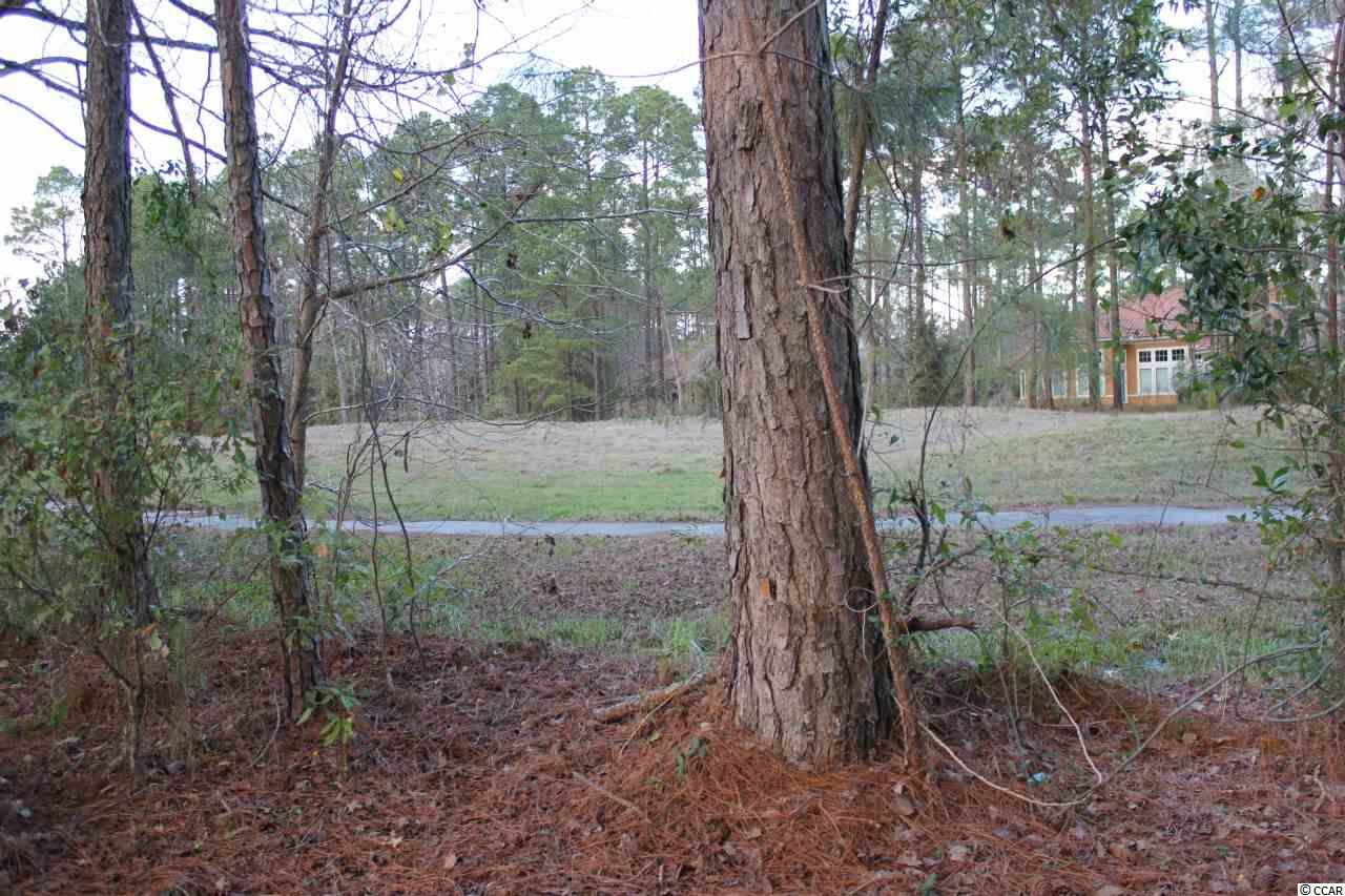 Lot 345 Timmerman Road Myrtle Beach, SC 29588 - Photo 15 of 25 Gallery Image 15