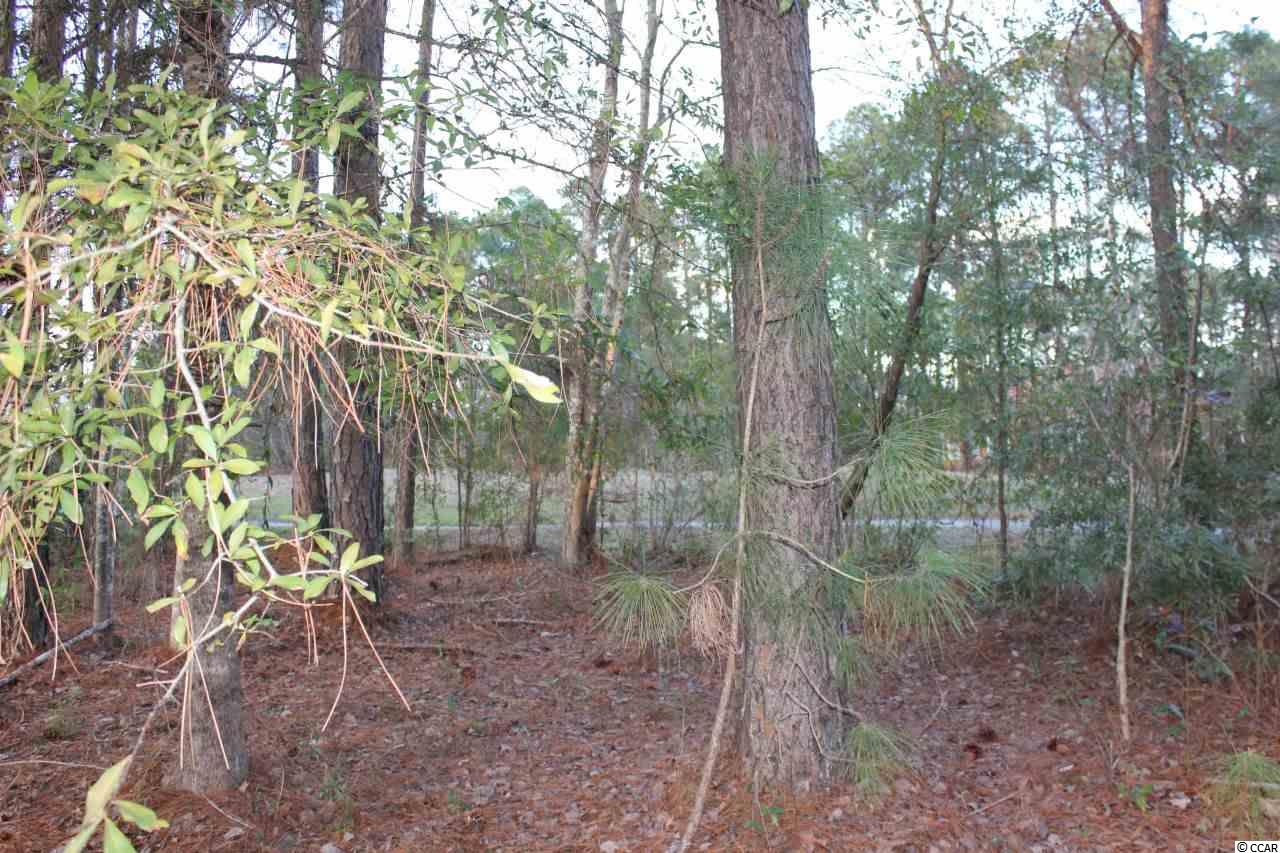Lot 345 Timmerman Road Myrtle Beach, SC 29588 - Photo 16 of 25 Gallery Image 16