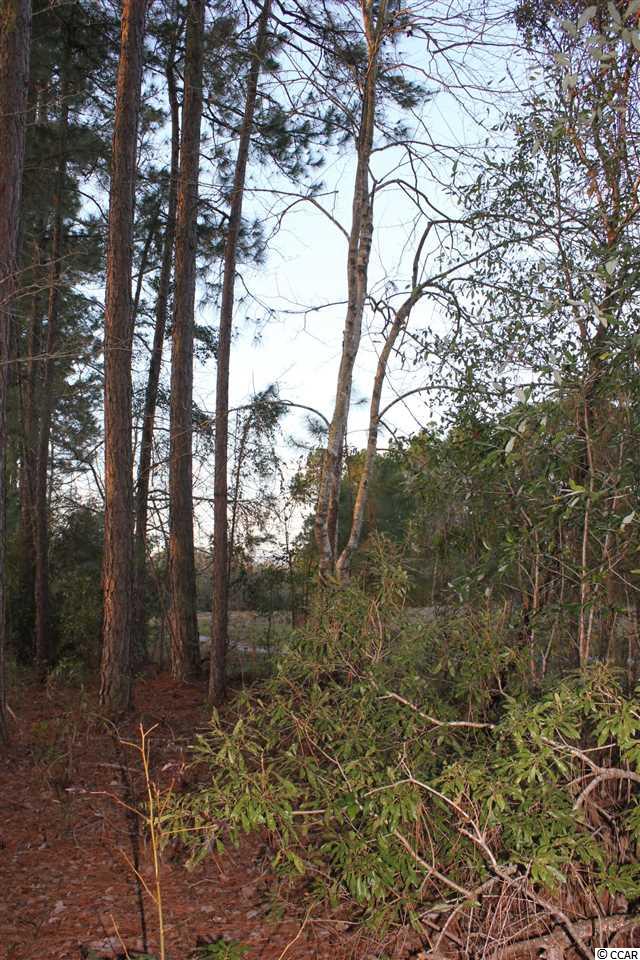 Lot 345 Timmerman Road Myrtle Beach, SC 29588 - Photo 17 of 25 Gallery Image 17