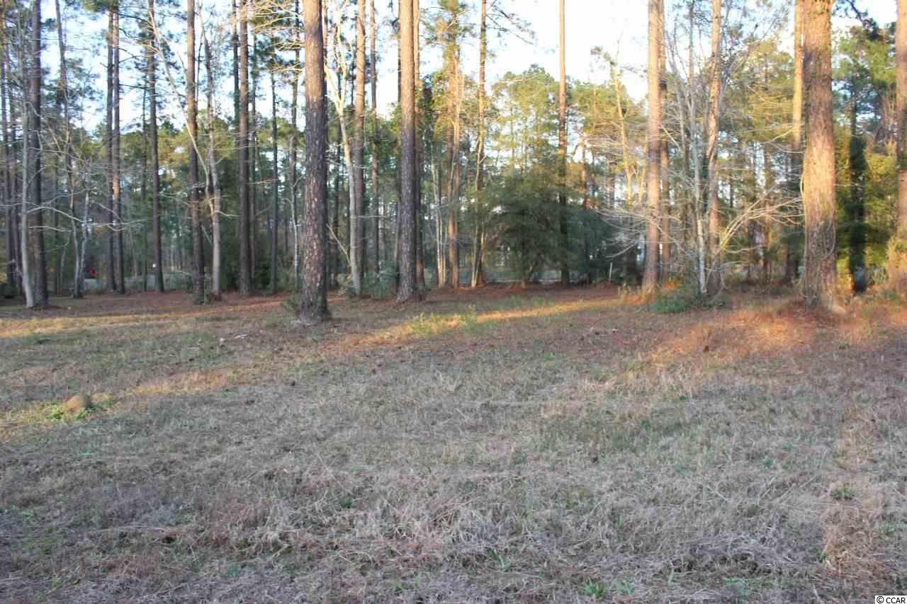 Lot 345 Timmerman Road Myrtle Beach, SC 29588 - Photo 18 of 25 Gallery Image 18