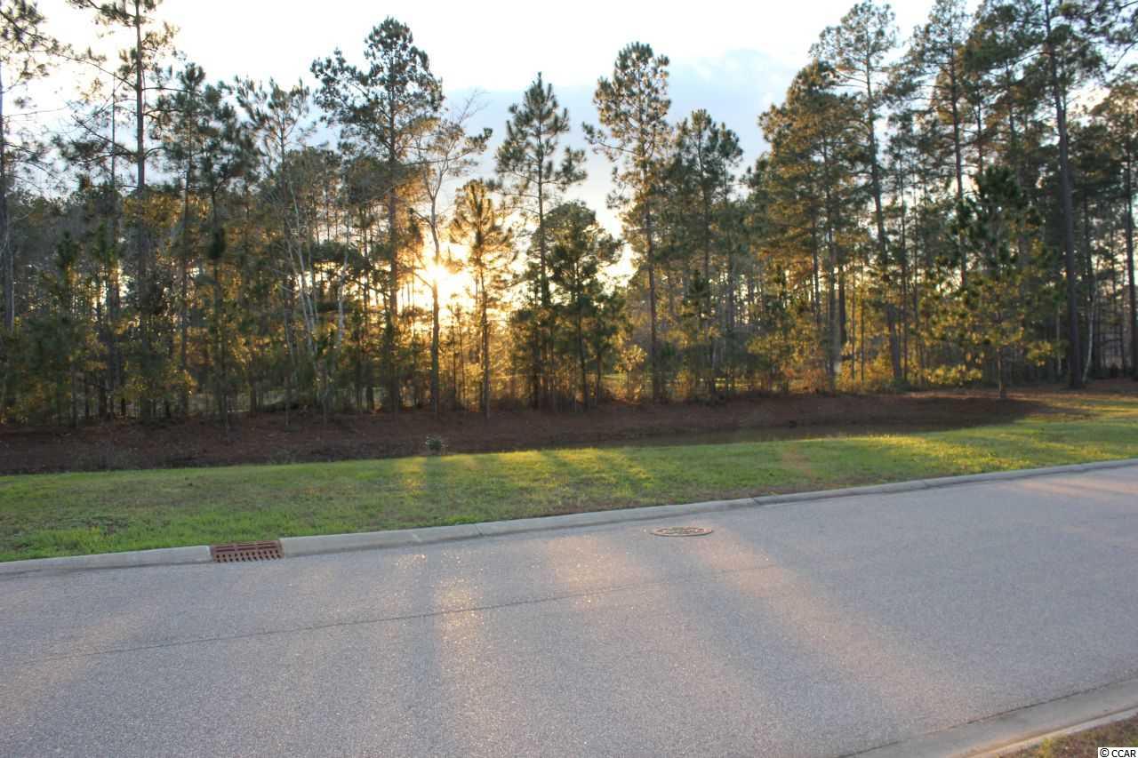 Lot 345 Timmerman Road Myrtle Beach, SC 29588 - Photo 19 of 25 Gallery Image 19