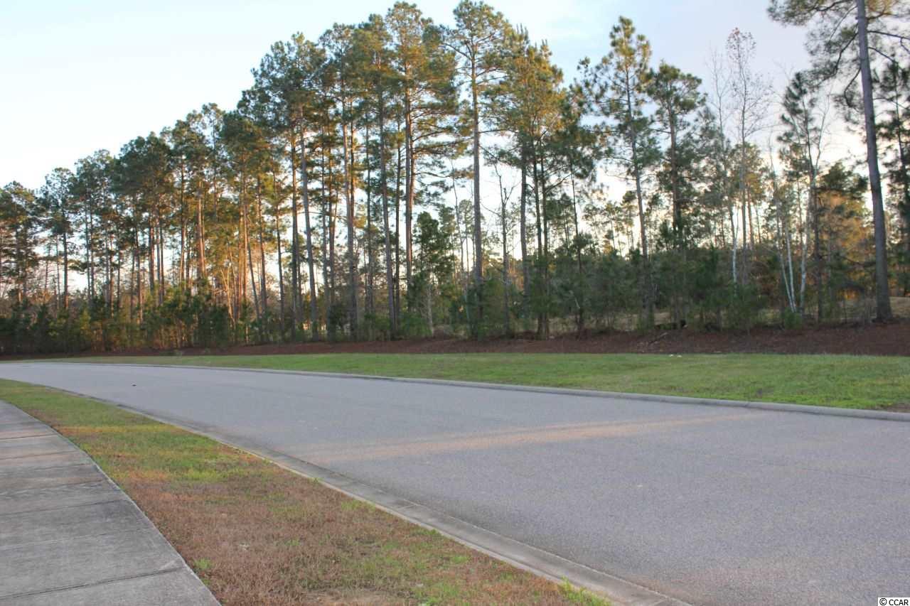 Lot 345 Timmerman Road Myrtle Beach, SC 29588 - Photo 20 of 25 Gallery Image 20