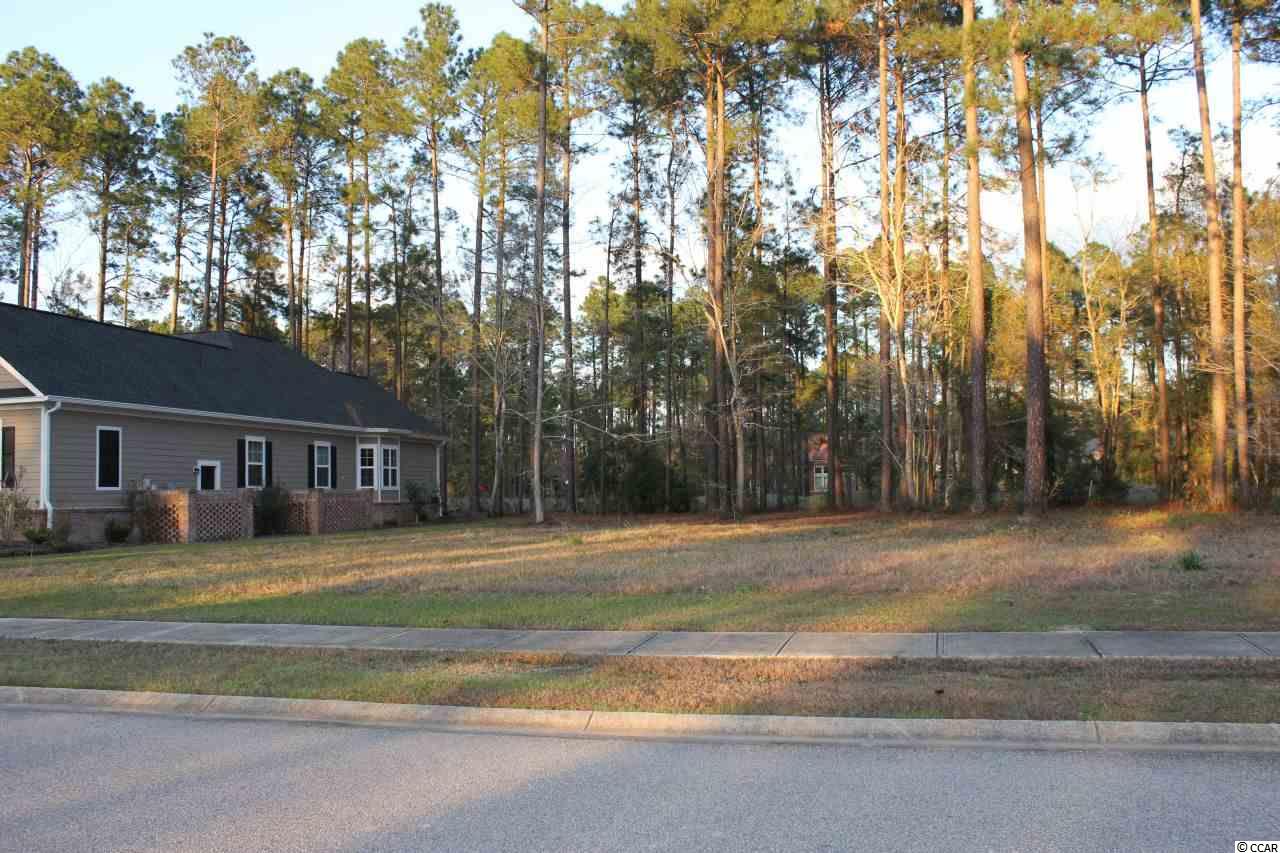 Lot 345 Timmerman Road Myrtle Beach, SC 29588 - Photo 21 of 25 Gallery Image 21