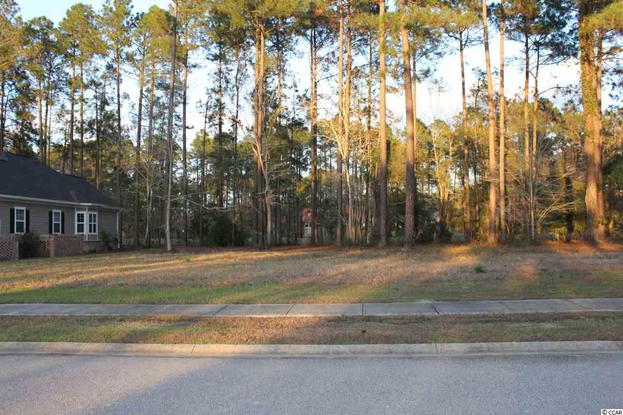 Lot 345 Timmerman Road Myrtle Beach, SC 29588 - Photo 22 of 25 Gallery Image 22