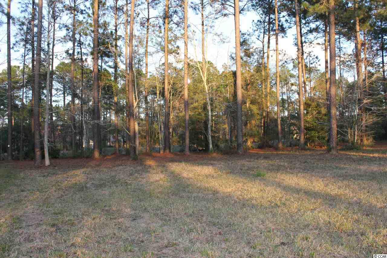 Lot 345 Timmerman Road Myrtle Beach, SC 29588 - Photo 8 of 25 Gallery Image 8