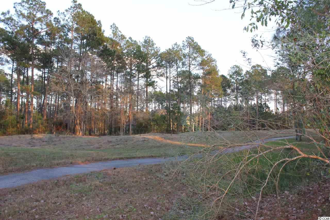 Lot 345 Timmerman Road Myrtle Beach, SC 29588 - Photo 10 of 25 Gallery Image 10
