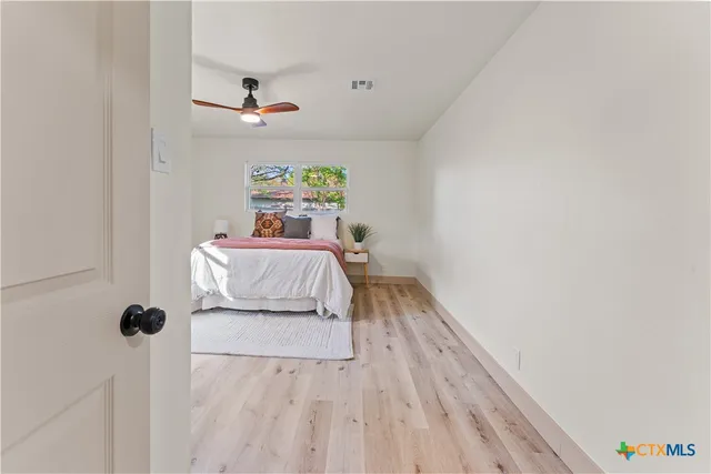 a view of a potted plant with a chair