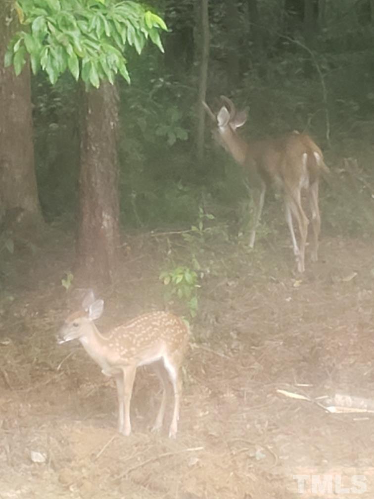 6105 Ruddington Court Willow Spring, NC 27592 - Photo 16 of 18 a bathroom with a shower