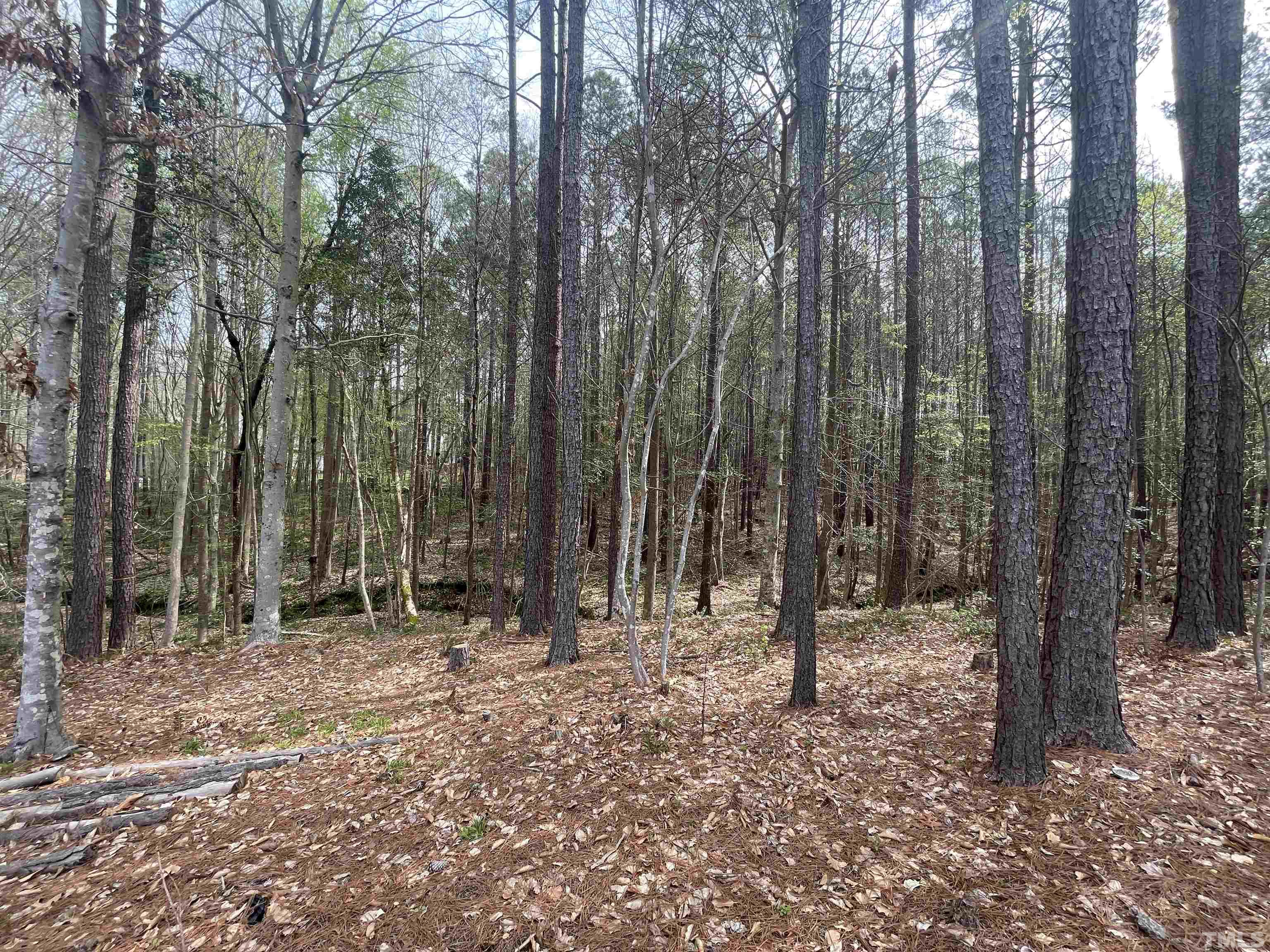 6105 Ruddington Court Willow Spring, NC 27592 - Photo 17 of 18 a backyard of a house with lots of green space