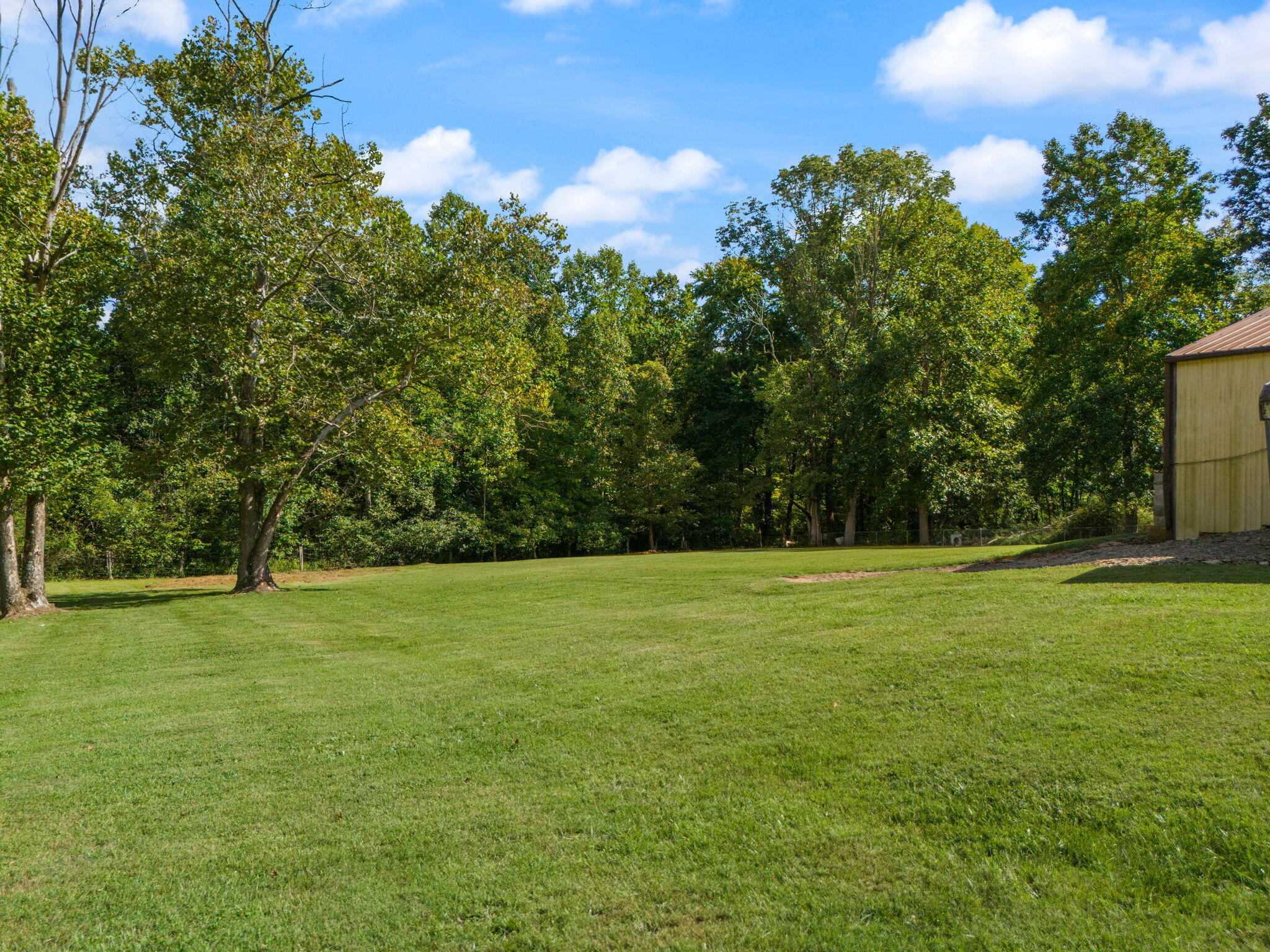 501 East Todd Road Science Hill, KY 42553 - Photo 98 of 98 Backyard