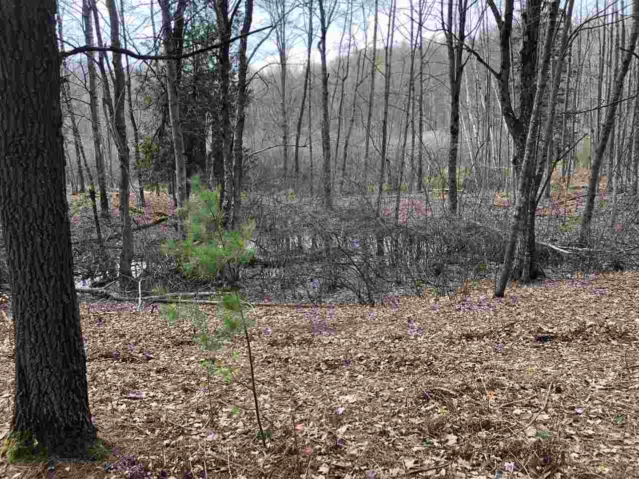 40-acres East Cranberry Lake Road Harrison, MI 48625 - Photo 13 of 21