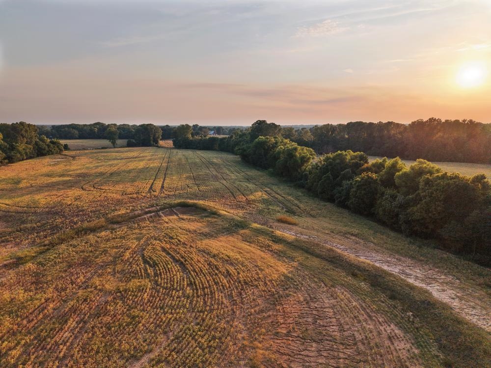 0 Mudville Road Atoka, TN 38004 - Photo 1 of 10 a view of a lake with sunset in background