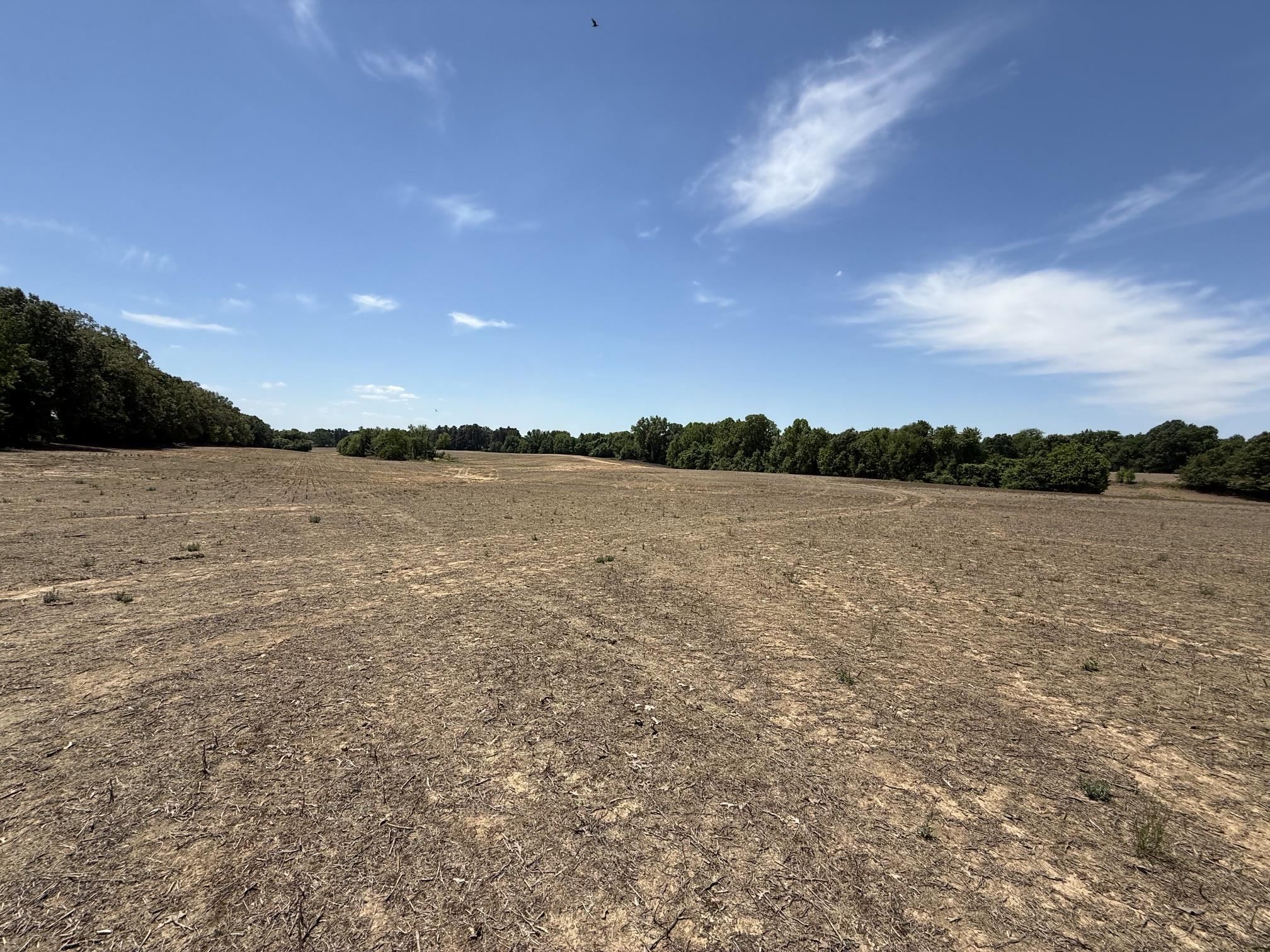 0 Mudville Road Atoka, TN 38004 - Photo 4 of 10