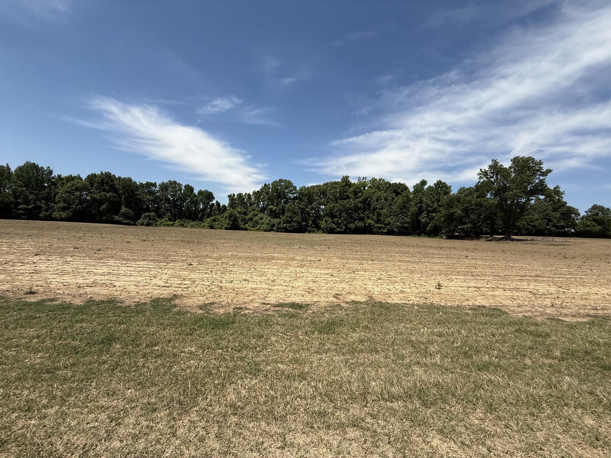 0 Mudville Road Atoka, TN 38004 - Photo 6 of 10 a view of a lake view