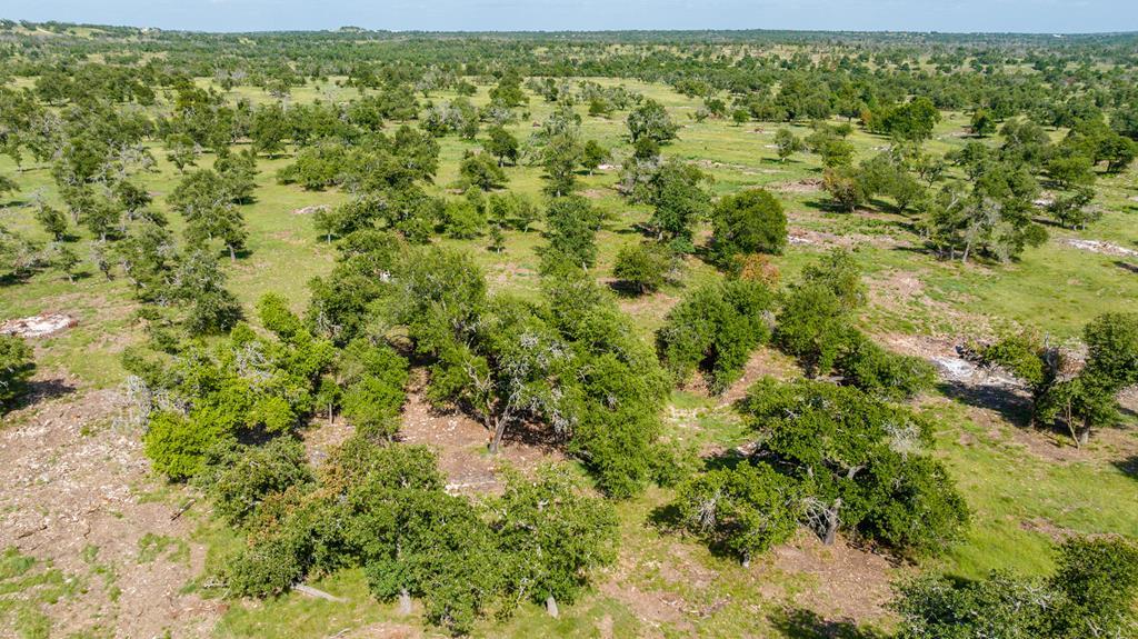 2 Loudon Road, Unit 2 Fredericksburg, TX 78624 - Photo 2 of 10 a view of a yard with an outdoor space
