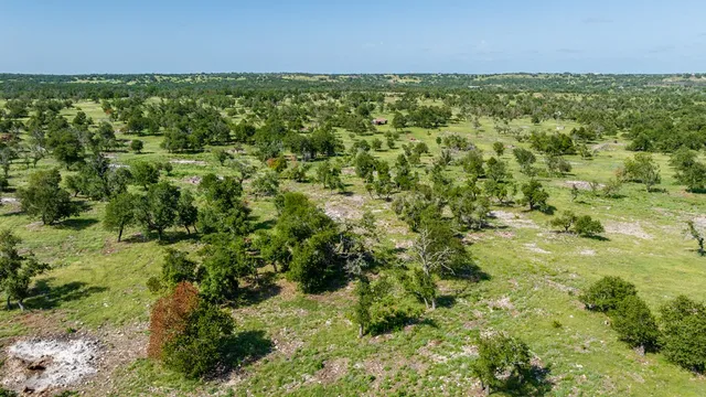 a view of a green field with lots of bushes