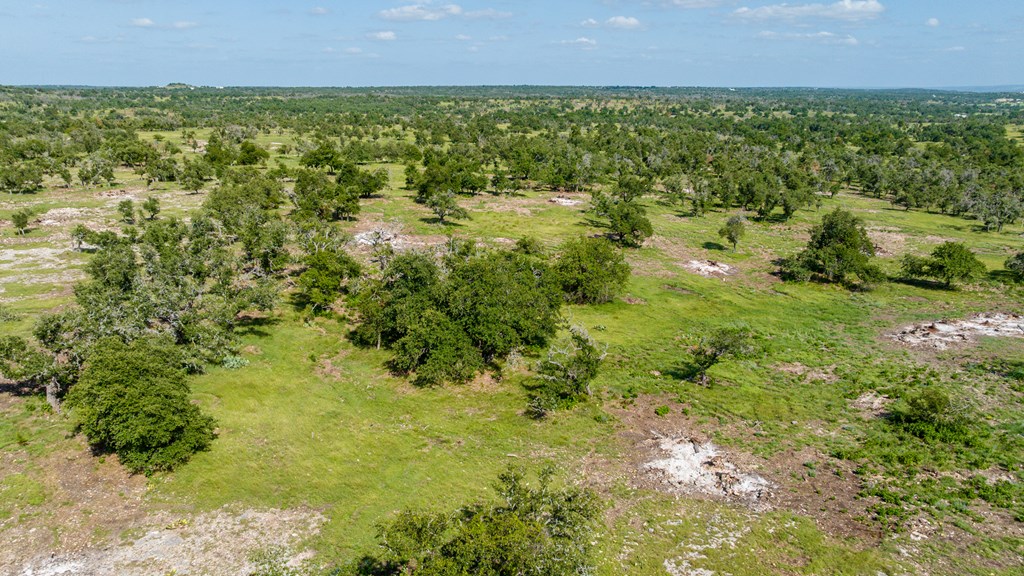 2 Loudon Road, Unit 2 Fredericksburg, TX 78624 - Photo 7 of 10 a view of a big yard with lots of green space