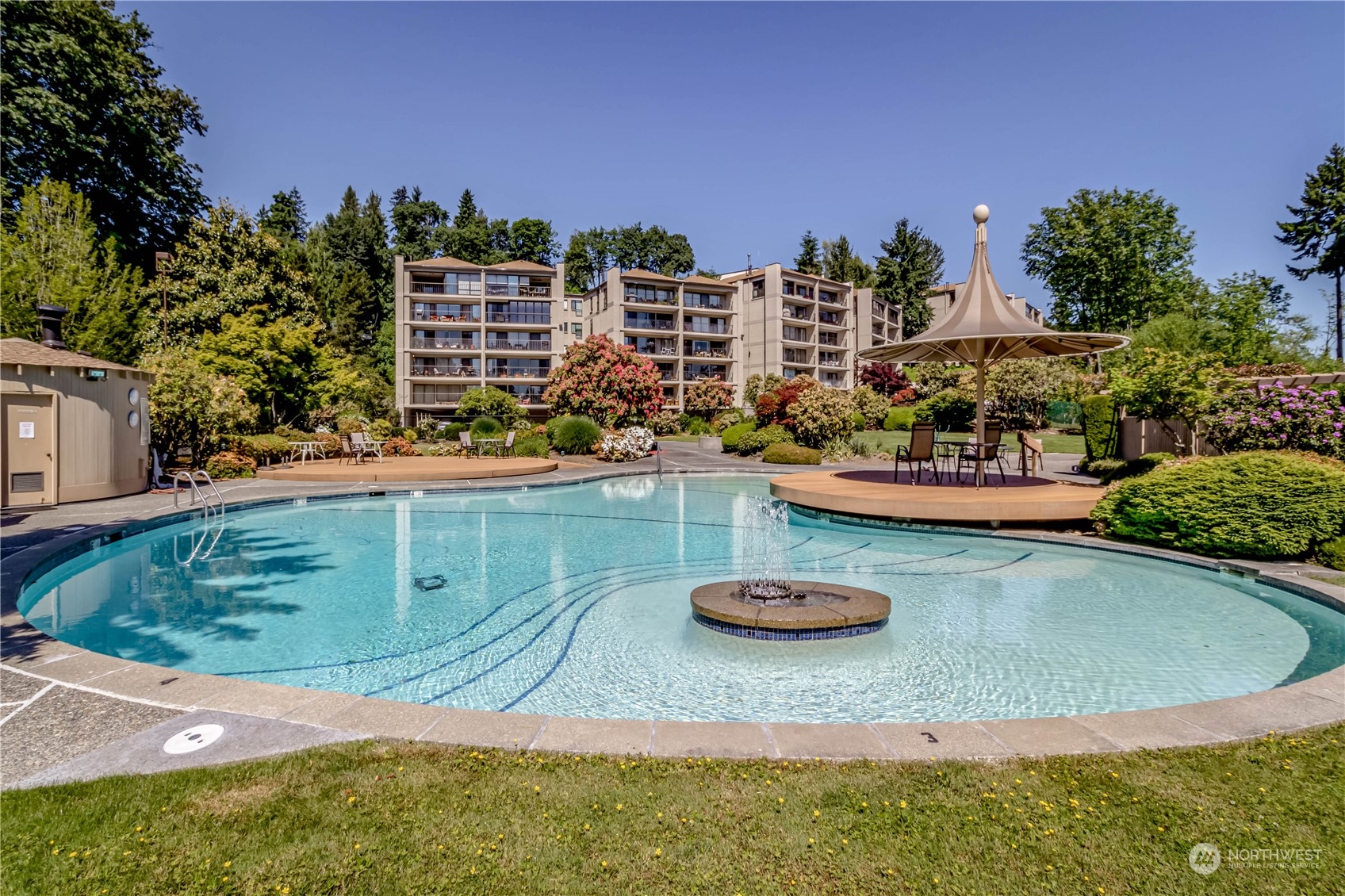 a view of a swimming pool with a yard and plants
