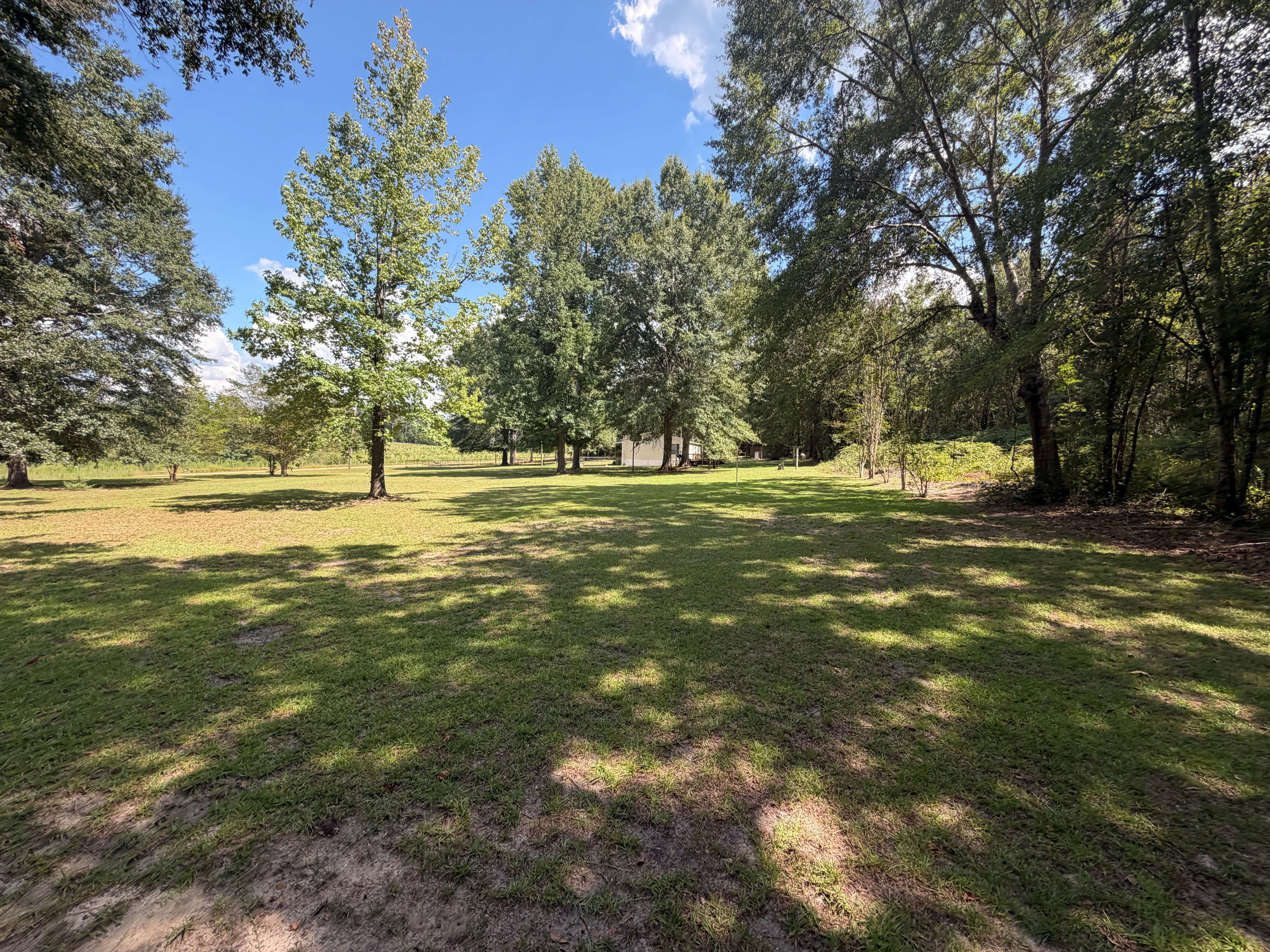 557 Poole Road Castleberry, AL 36432 - Photo 8 of 30 Gallery Image 8