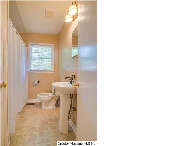 45 Bruce Street Springville, AL 35146 - Photo 10 of 15