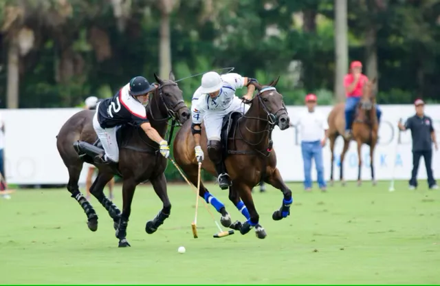 a view of yard with an trees