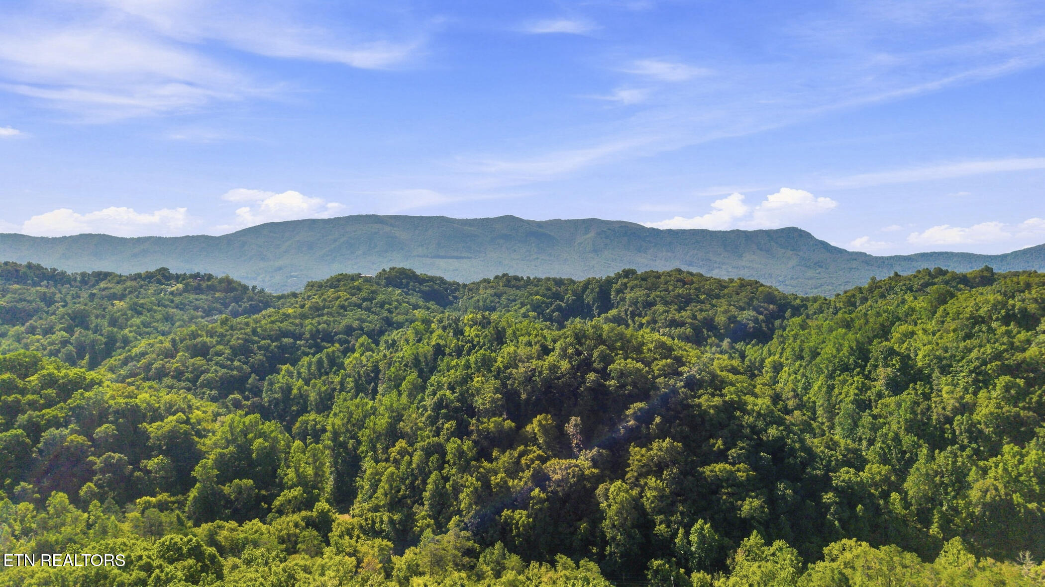 2453 Lower Rinehart Road Dandridge, TN 37725 - Photo 9 of 37 dji_20260824103050_0256_d