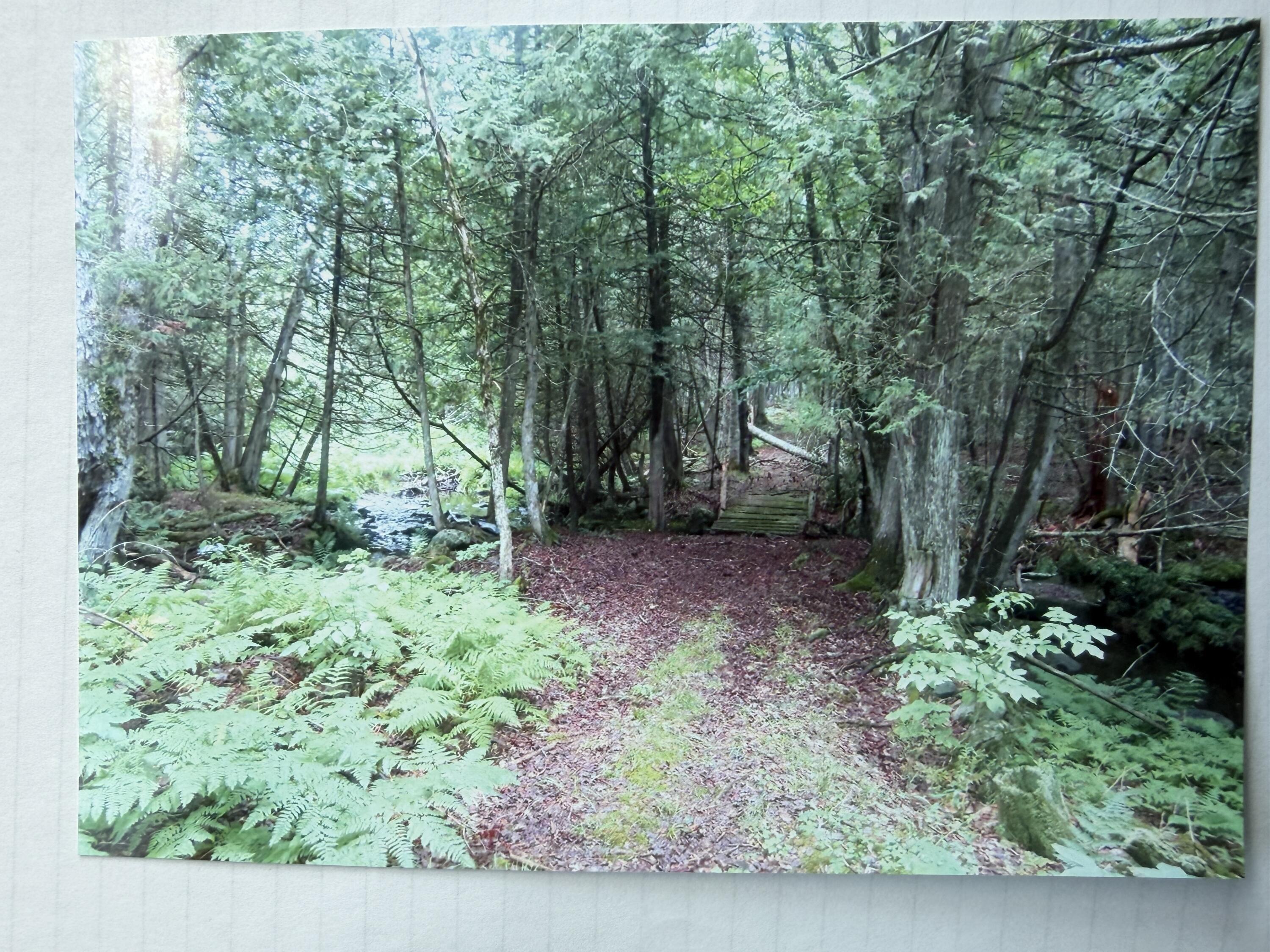 510 Milo Road Dover-Foxcroft, ME 04426 - Photo 3 of 35 Path to Brook