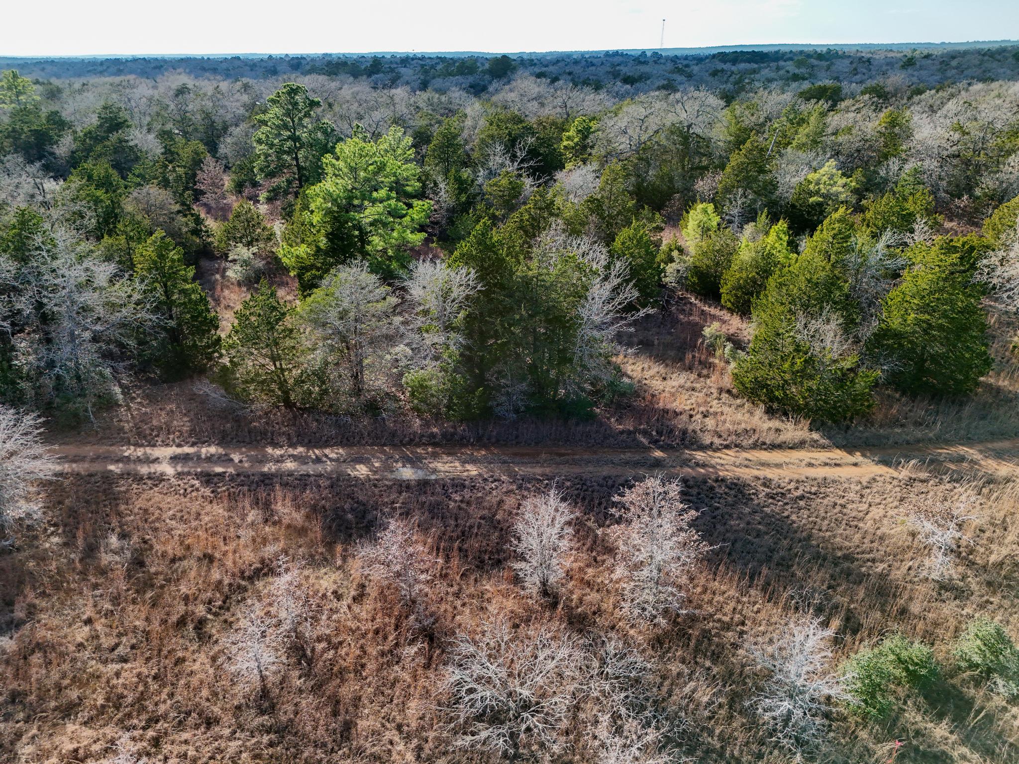 Lot 7 South Old Potato Road Paige, TX 78659 - Photo 16 of 22 Bird's eye view
