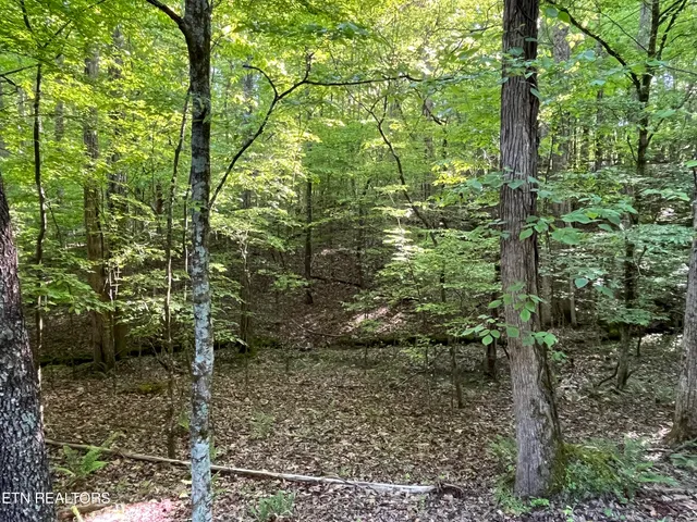 $5,000 | 328-329 Omega Drive, Spring City, TN 37381