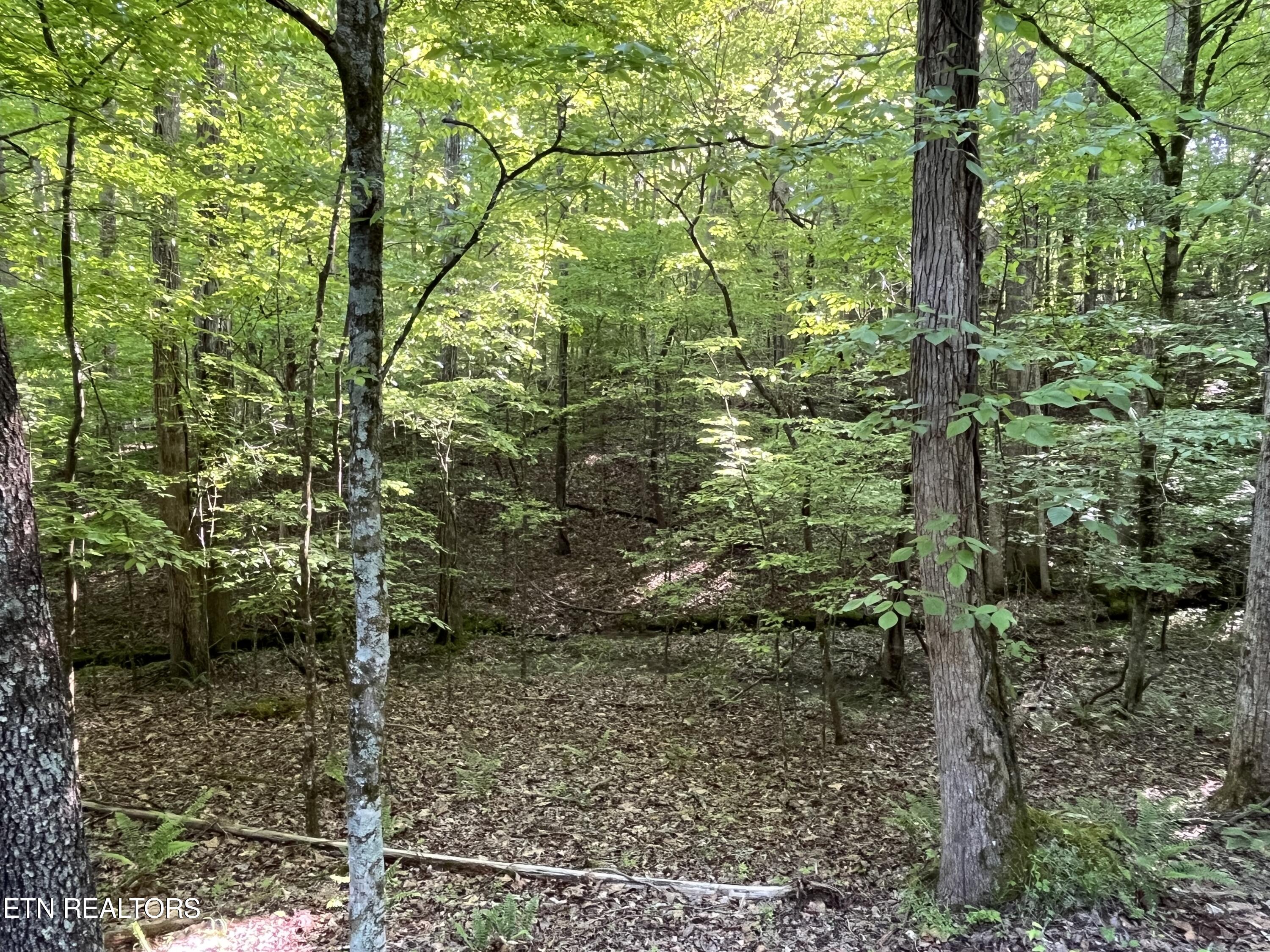 328-329 Omega Drive Spring City, TN 37381 - Photo 2 of 4 IMG_8270