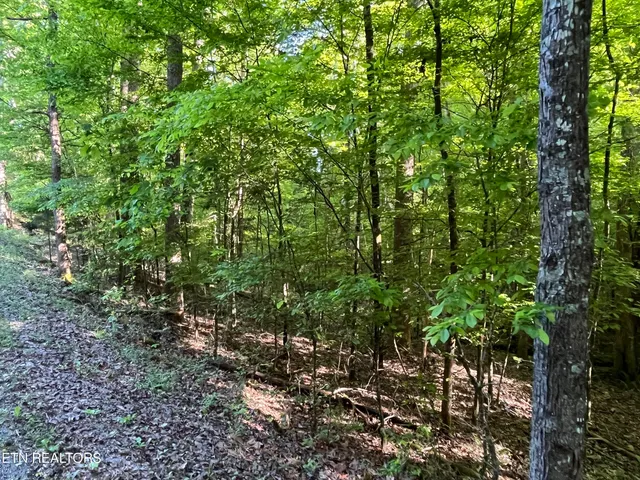 $5,000 | 328-329 Omega Drive, Spring City, TN 37381