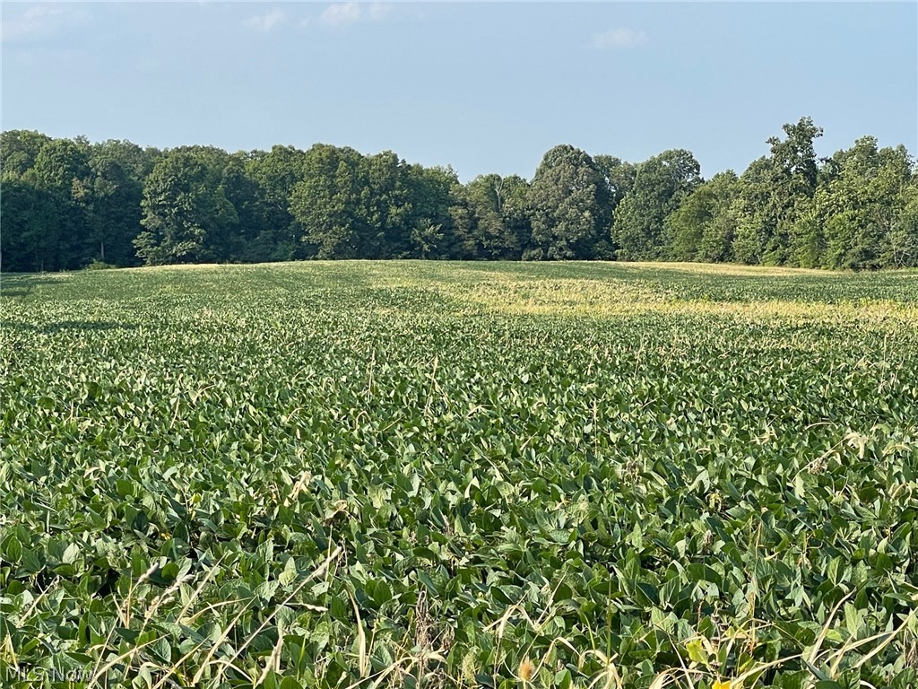 Hughes Road Ravenna, OH 44266 - Photo 4 of 4