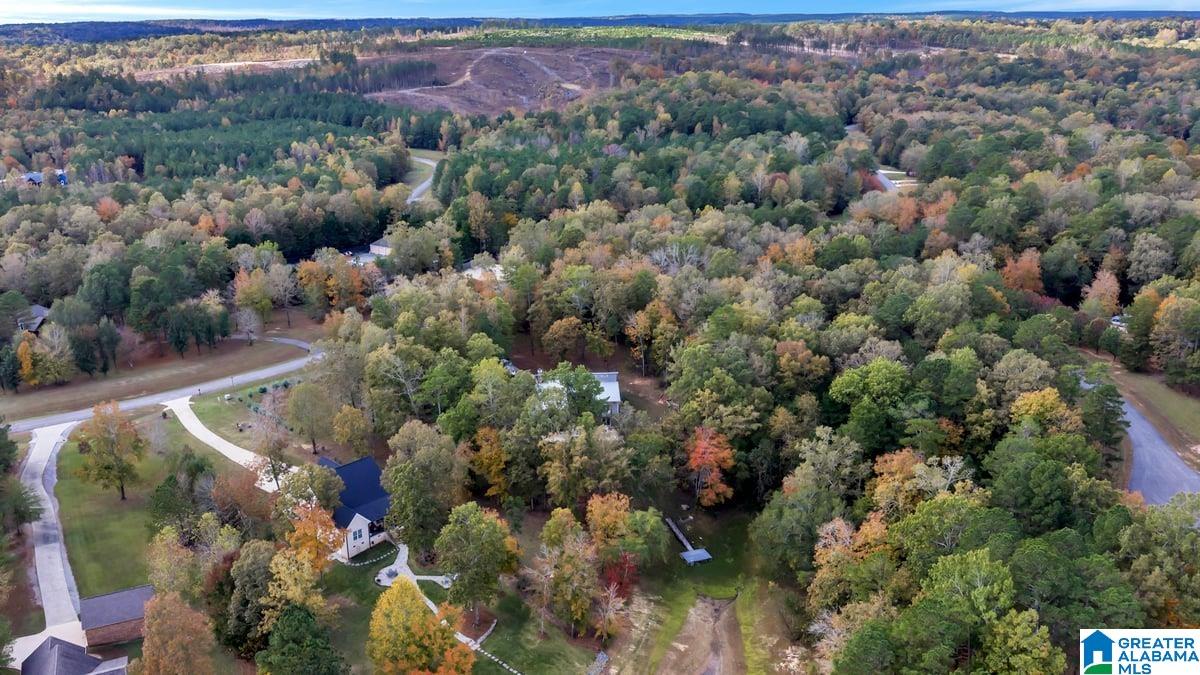 Long Point Road, Unit 58 Double Springs, AL 35553 - Photo 21 of 29