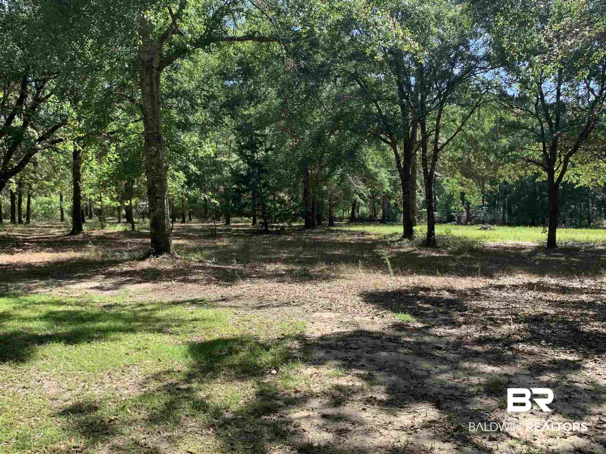 1 Truck Rte 17 Road Robertsdale, AL 36567 - Photo 22 of 25
