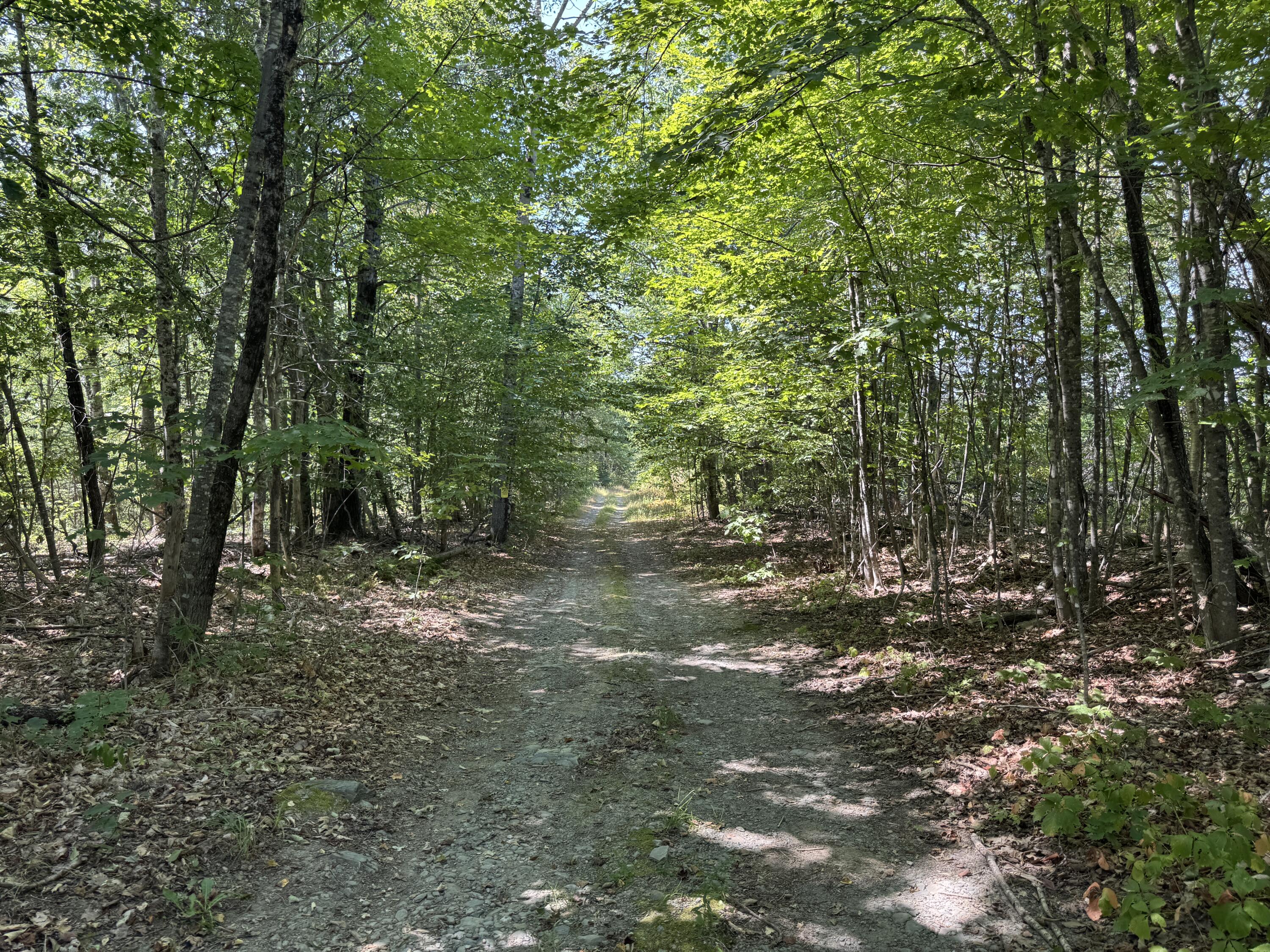 0 Jackman Corner Road Sangerville, ME 04479 - Photo 1 of 15 IMG_8361