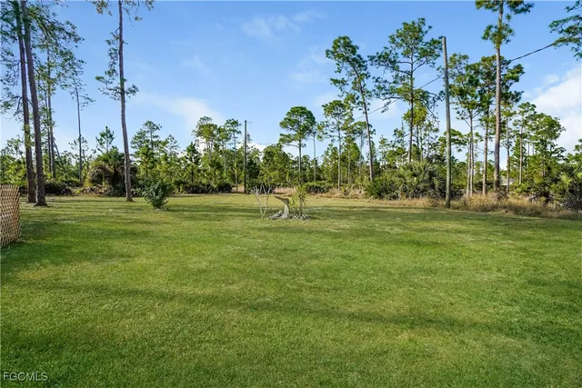 a garden view with a fountain