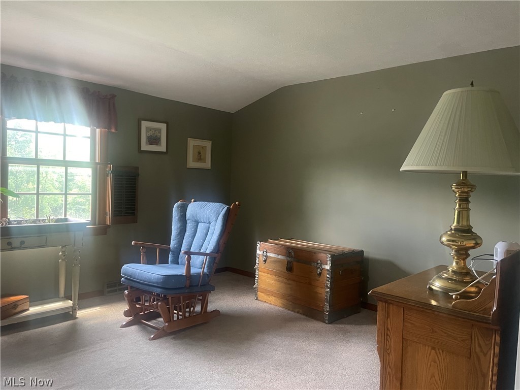 37460 Giles Road Grafton, OH 44044 - Photo 22 of 31