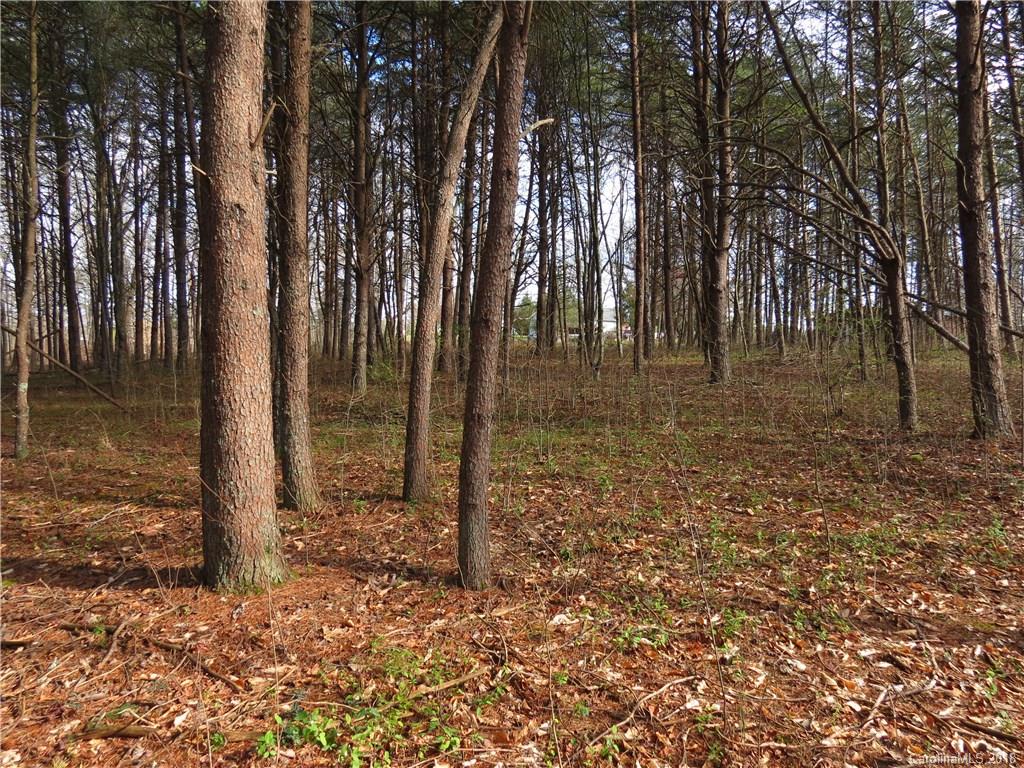2529 Peeler Road Vale, NC 28168 - Photo 22 of 26 Gallery Image 22