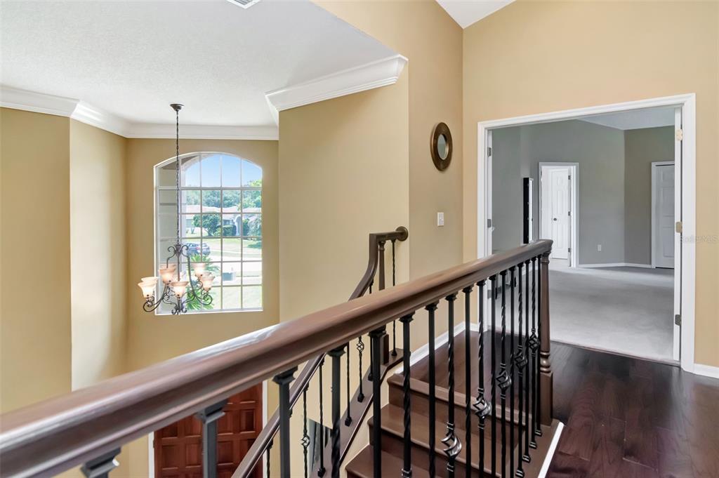 18511 Bittern Avenue Lutz, FL 33558 - Photo 31 of 63