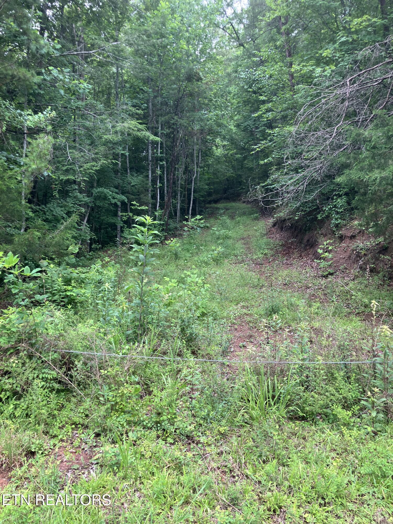 4 3 Point Road Vonore, TN 37885 - Photo 2 of 12 Tract 4-3 Point Rd-9