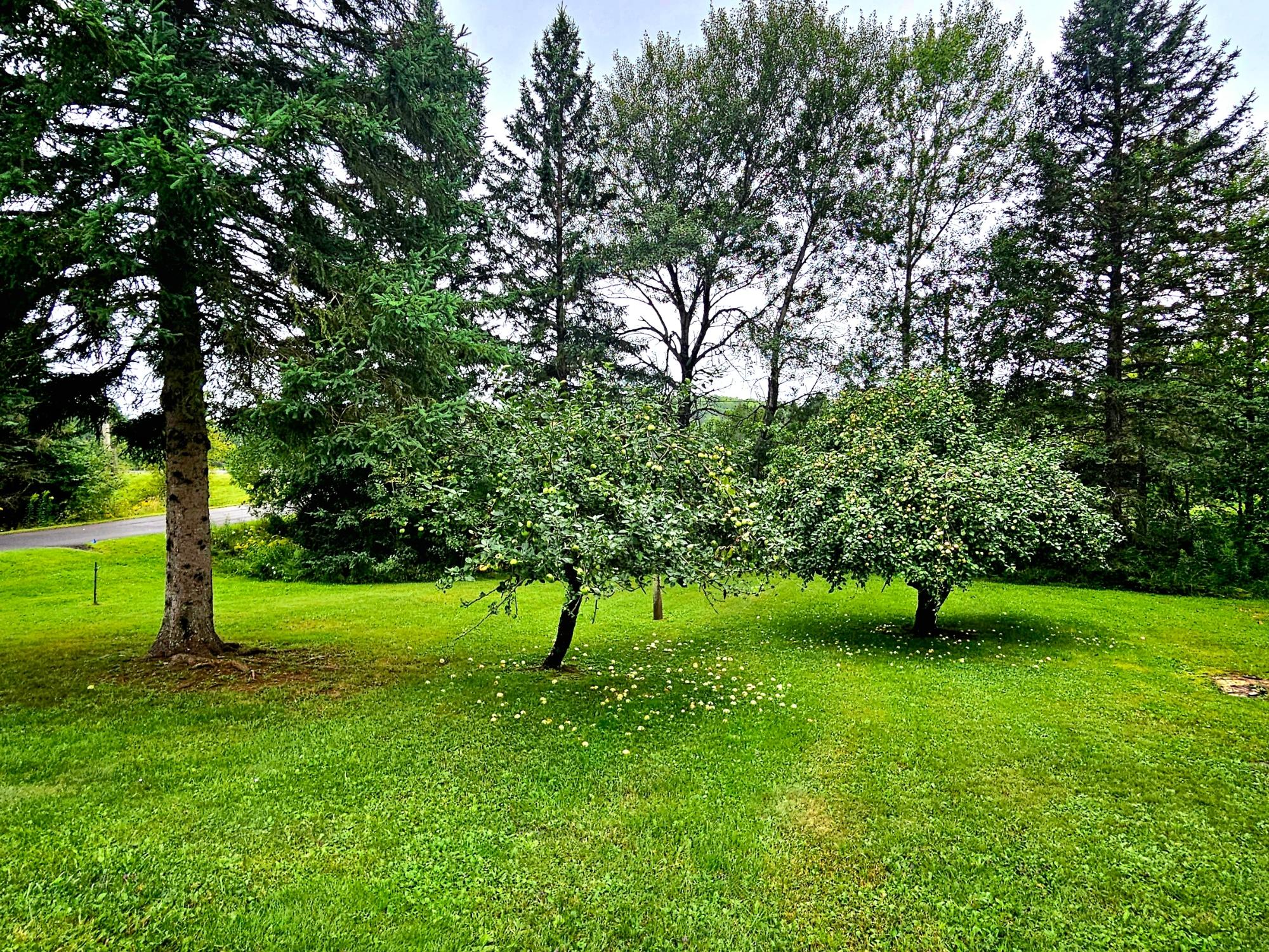 1320 Comet Road Wakefield, MI 49968 - Photo 64 of 66 Gallery Image 64