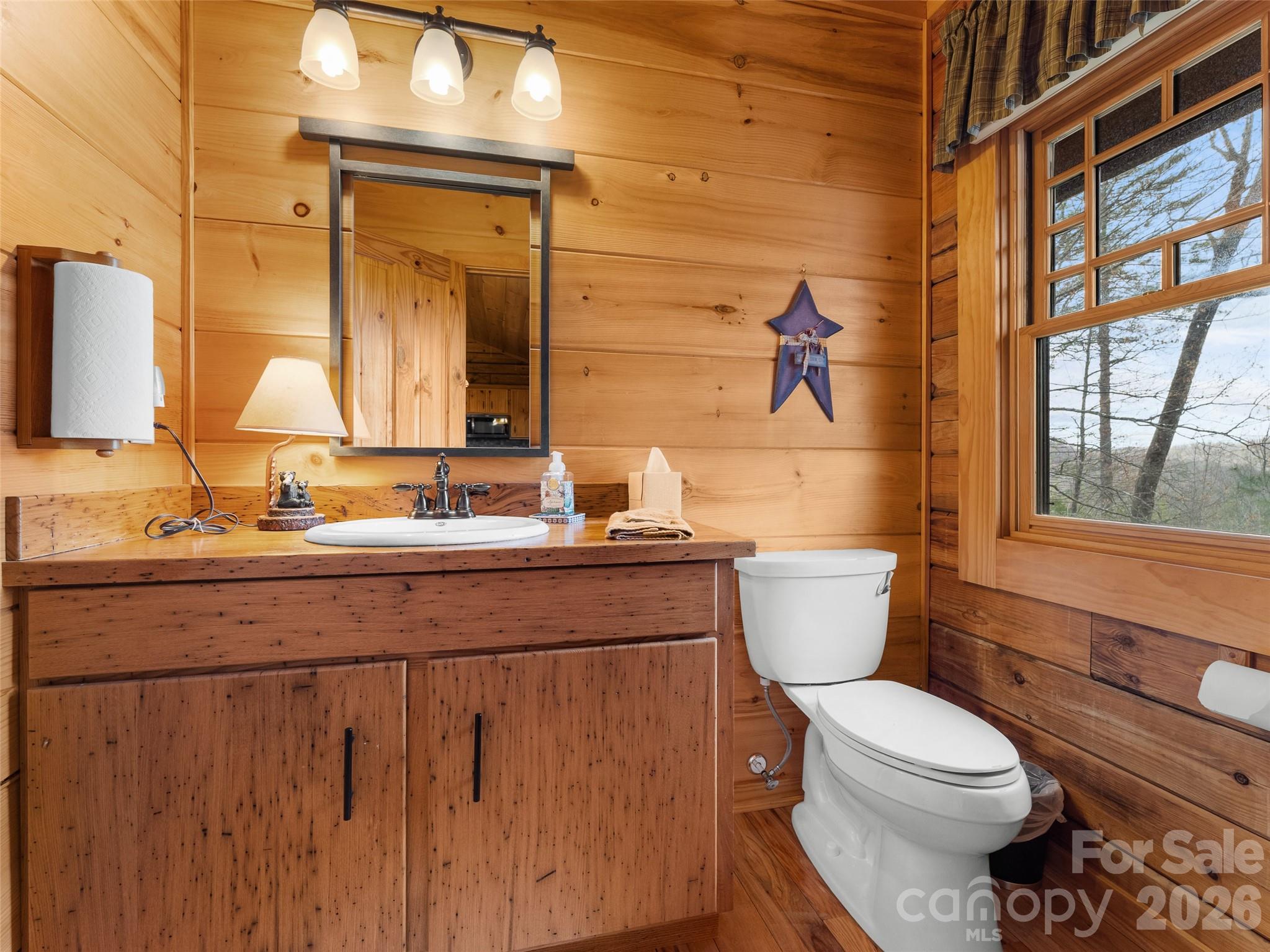 79 Brandy Ridge Road Brevard, NC 28712 - Photo 16 of 48