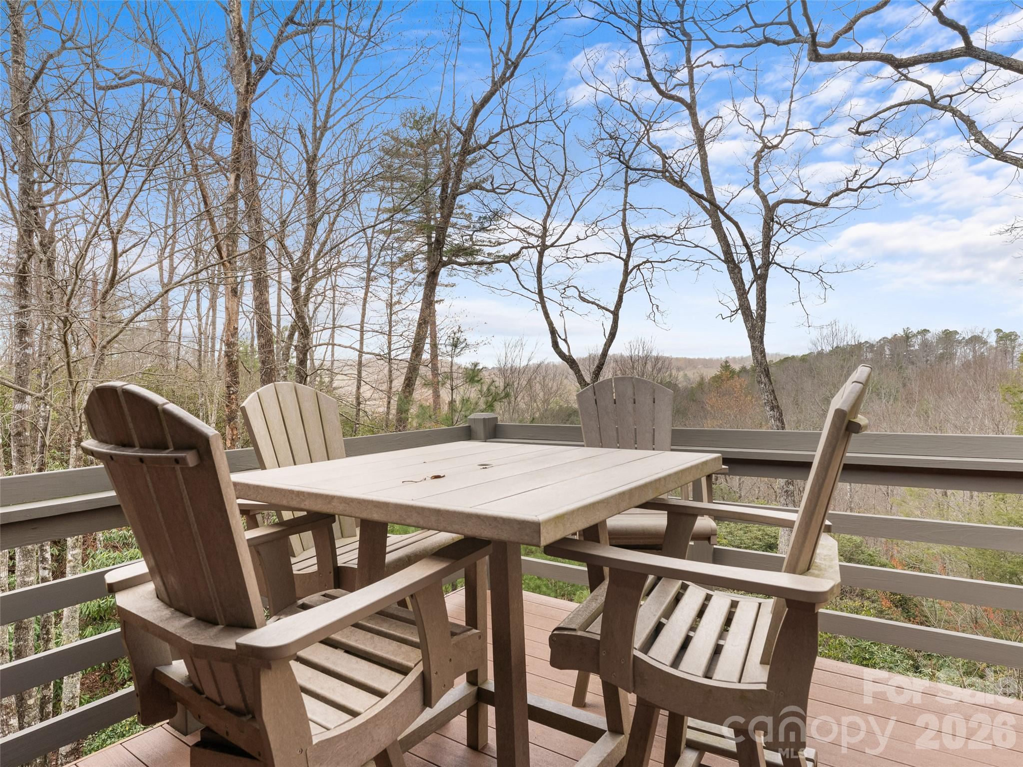 79 Brandy Ridge Road Brevard, NC 28712 - Photo 2 of 48