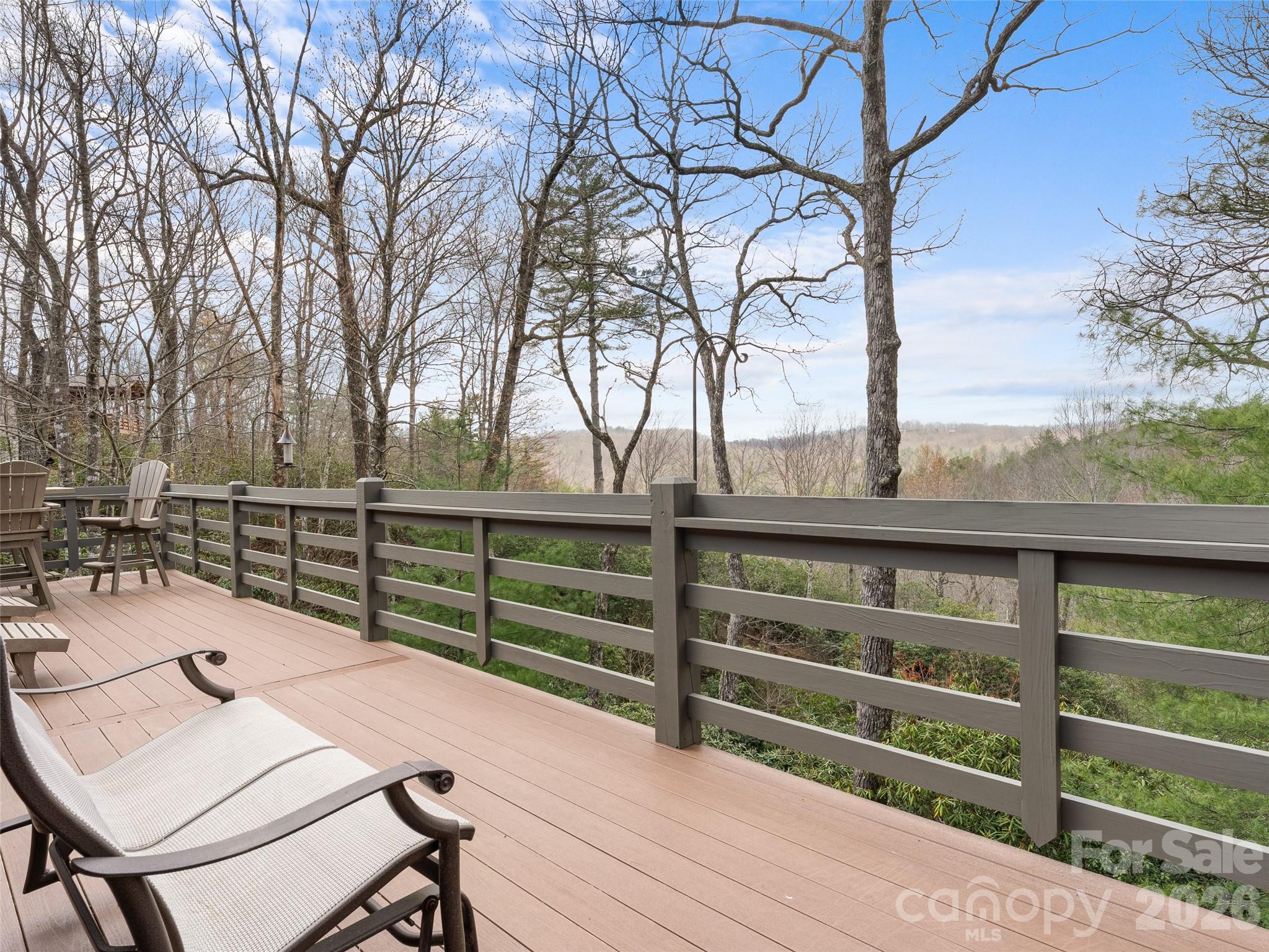 79 Brandy Ridge Road Brevard, NC 28712 - Photo 3 of 48