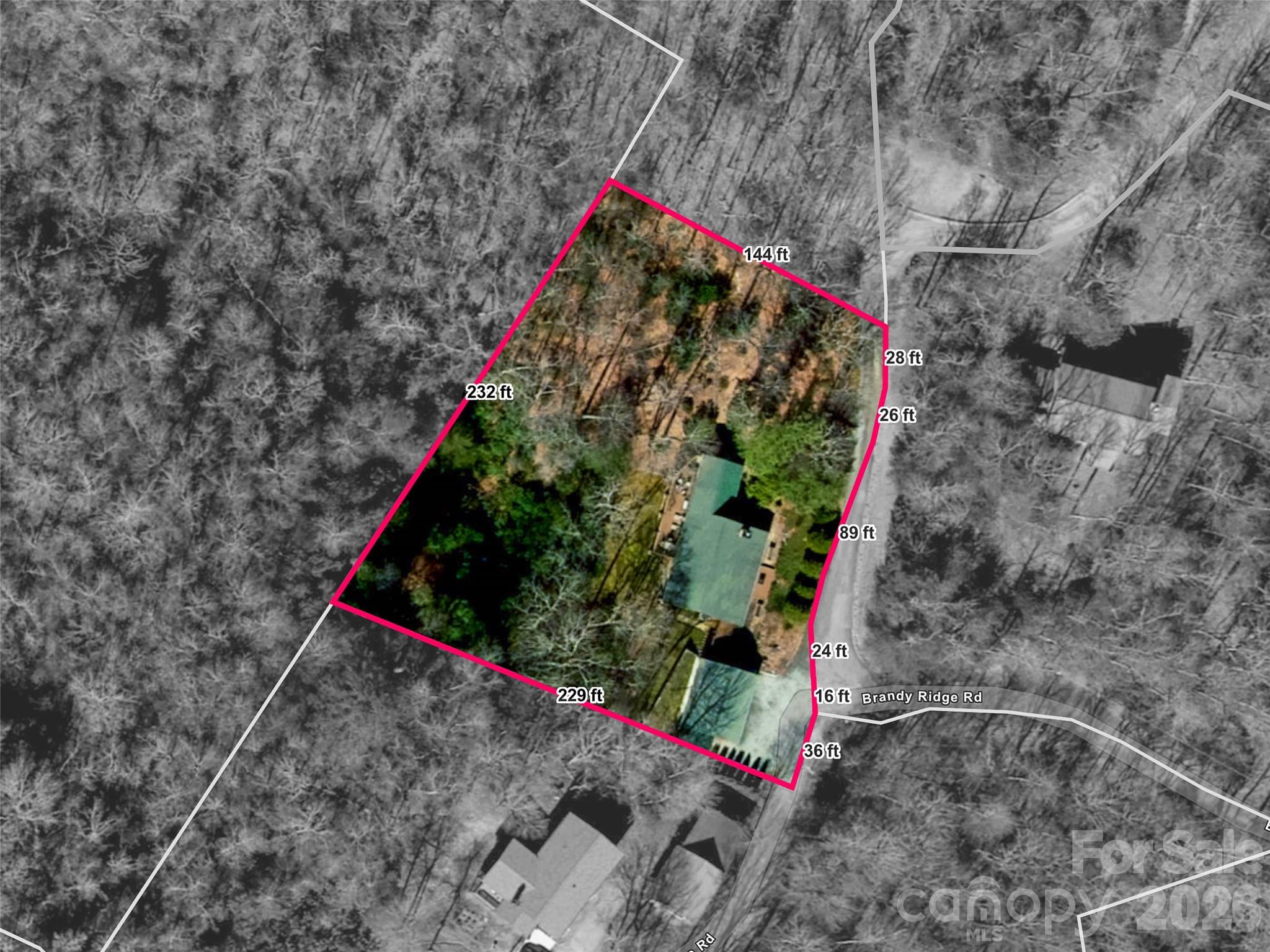 79 Brandy Ridge Road Brevard, NC 28712 - Photo 46 of 48