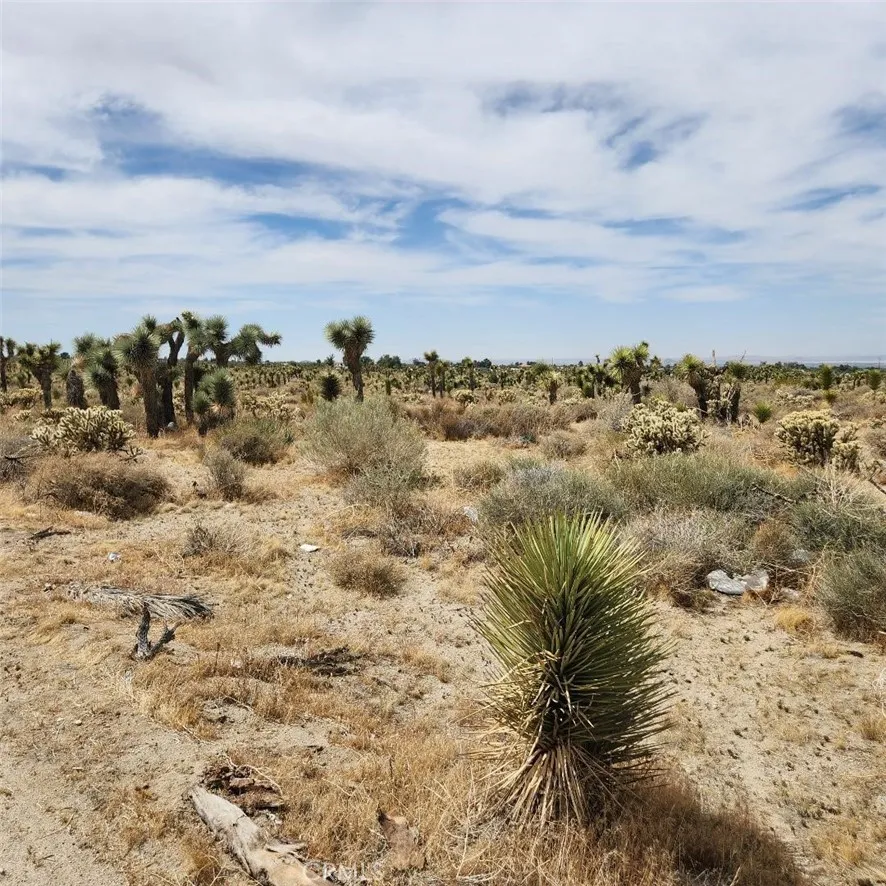123 Wilson Ranch Phelan, CA 92371 - Photo 10 of 11 a view of a sky