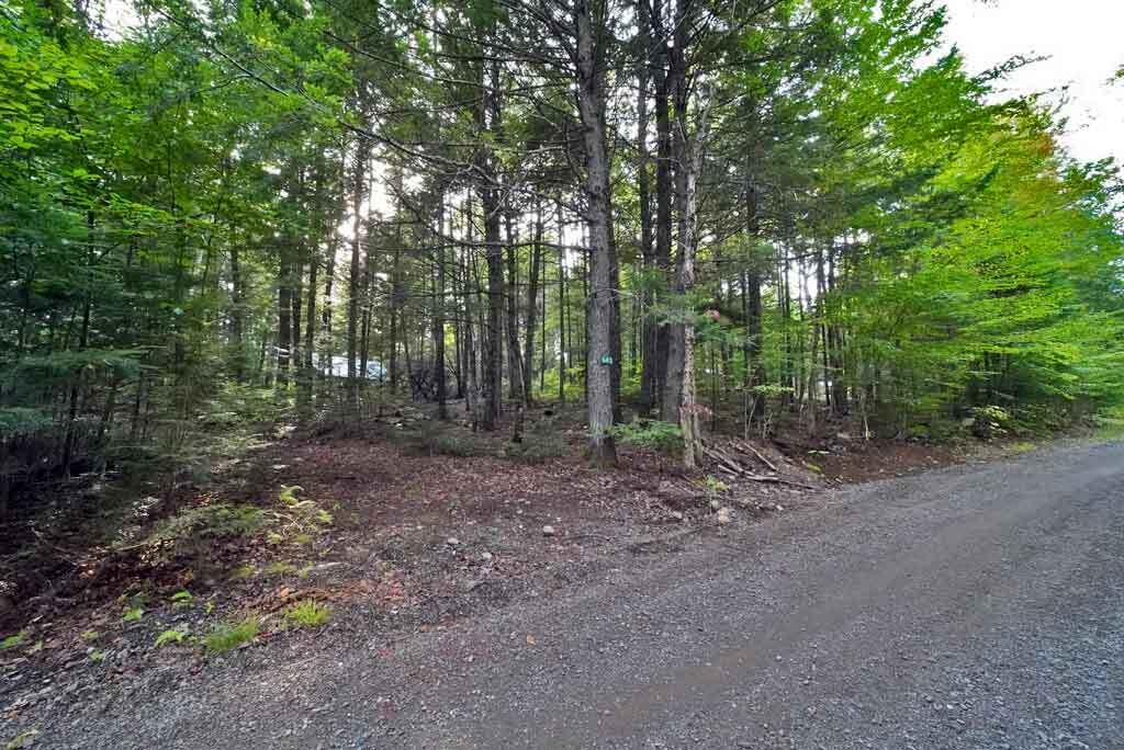 643 Sandy Beach Road Danforth, ME 04424 - Photo 47 of 48 road-frontage-sandy-beach-c