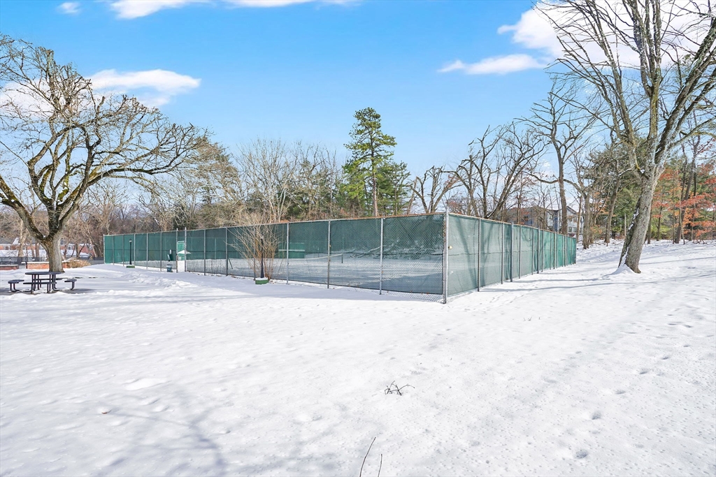 40 Halifax Court, Unit D Springfield, MA 01108 - Photo 12 of 34