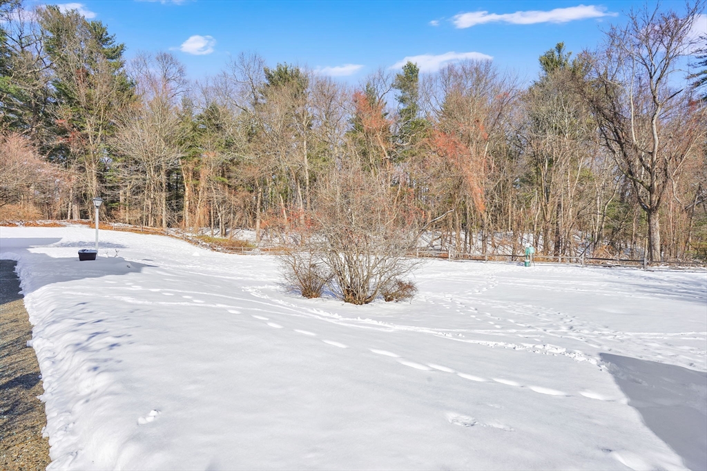 40 Halifax Court, Unit D Springfield, MA 01108 - Photo 4 of 34